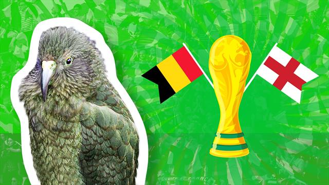 Will England beat Belgium? Newton decides... and it's a classic Will England beat Belgium? Newton decides... and it's a classic