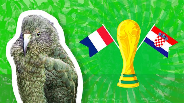 Le prono de Newton : France ou Croatie, qui sera champion du monde ? Le prono de Newton : France ou Croatie, qui sera champion du monde ?