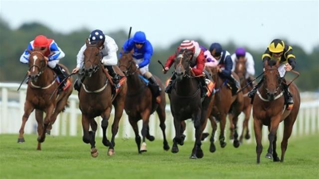 La Princess of Wales Stakes 2018 va a Best Resolution