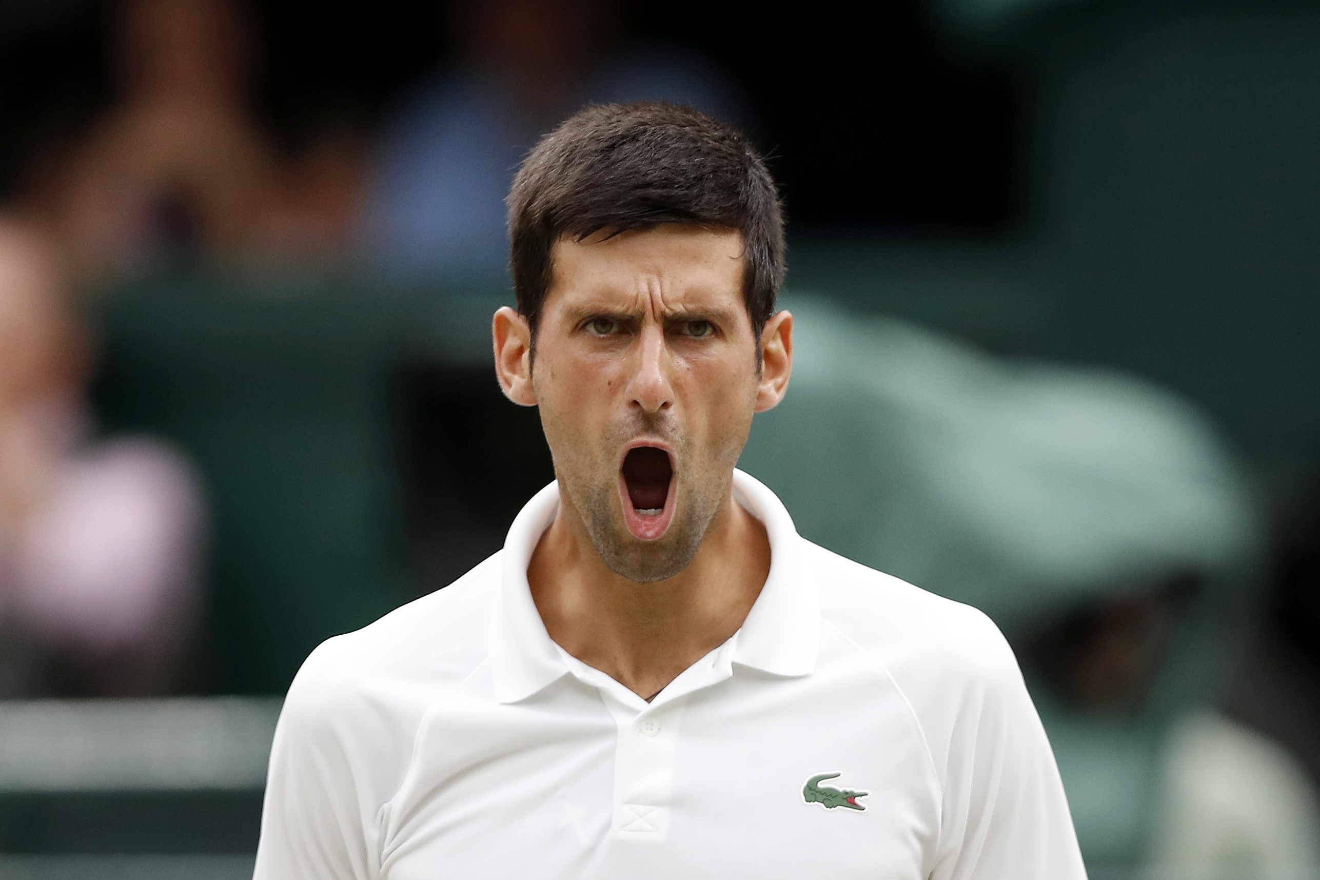Novak Djokovic