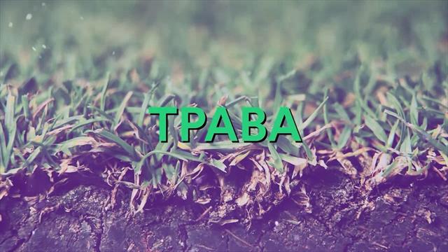 «Нарушение гардеробной традиции грозит штрафом и дисквалификацией». Факты о ценностях Уимблдона «Нарушение гардеробной традиции грозит штрафом и дисквалификацией». Факты о ценностях Уимблдона