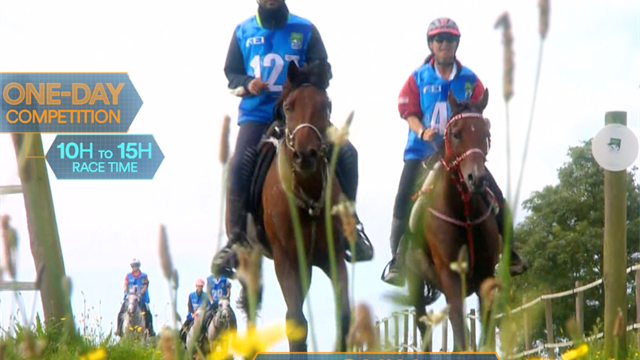 Sports Explainer: tutto ciò che devi sapere sulle prove di endurance equestre Sports Explainer: tutto ciò che devi sapere sulle prove di endurance equestre
