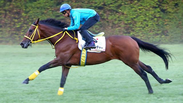 Arc Trials, rendez-vous demain à Paris Longchamp