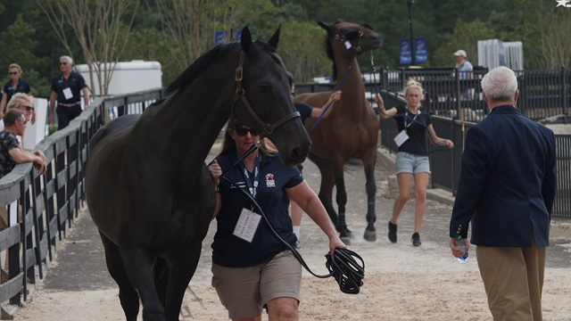 WEG key moments: una giornata ai Campionati mondiali di equitazione WEG key moments: una giornata ai Campionati mondiali di equitazione