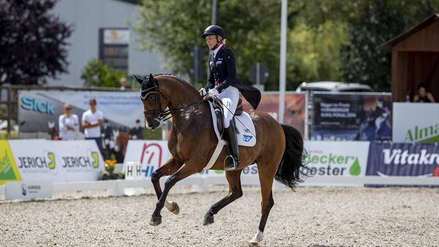 Klimke greift nach WM-Gold - Dressur-Kür abgesagt