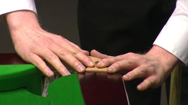 La delicadísima operación de McGill para salvar la vida a un insecto que le podía aguar la partida La delicadísima operación de McGill para salvar la vida a un insecto que le podía aguar la partida