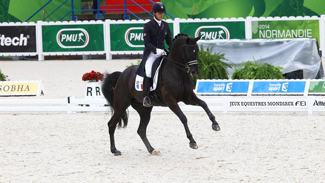 Noble Dream quitte la scène sportive