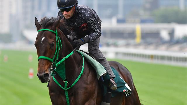 Hipódromo de Kyoto (Japón): Lis Gracieux gana la Queen Elizabeth II Cup