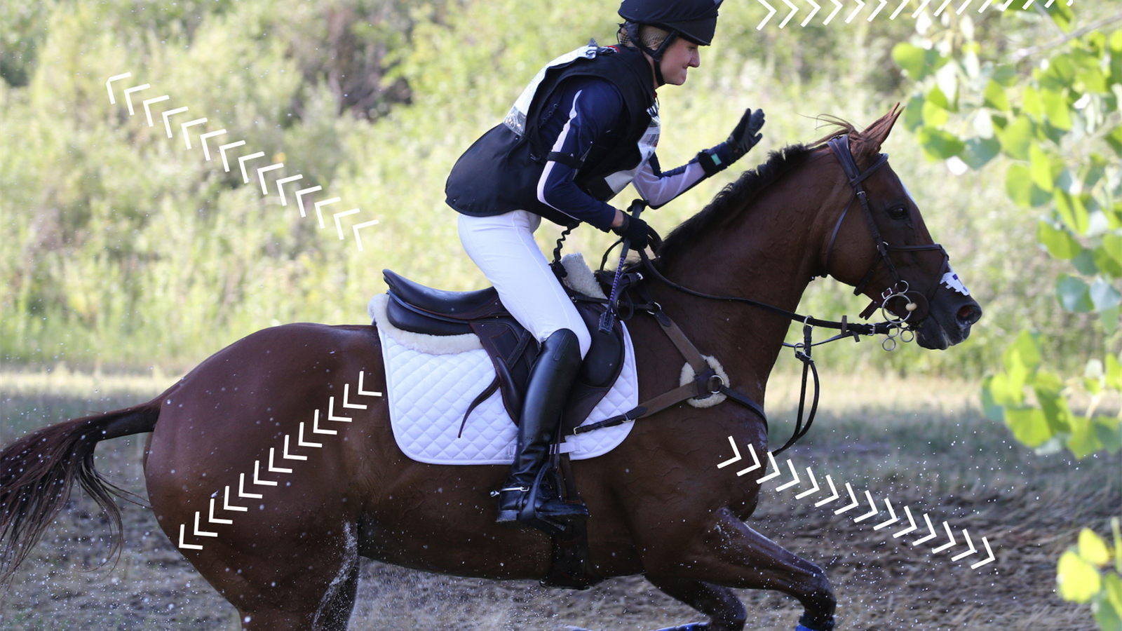 Technology and horses a new type of connection Equestrian Eurosport