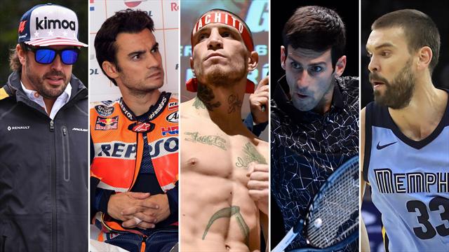 Alonso, Pedrosa, Lejarraga, Djokovic y Marc Gasol, los nombres del día Alonso, Pedrosa, Lejarraga, Djokovic y Marc Gasol, los nombres del día