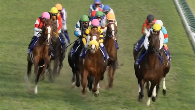 Longines Japan Cup: Almond Eye conquista Tokio con una gran victoria Longines Japan Cup: Almond Eye conquista Tokio con una gran victoria