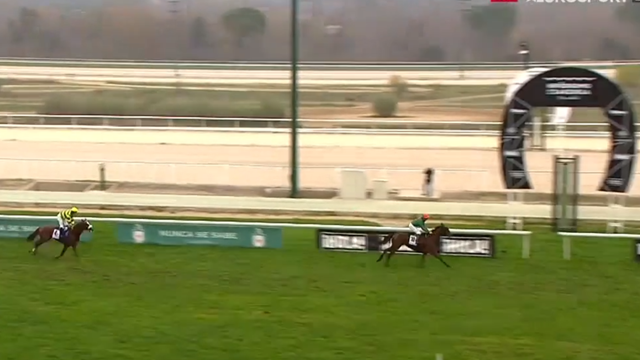 Un domingo en las carreras: Aplastante victoria de Tregua para poner el cierre a la temporada Un domingo en las carreras: Aplastante victoria de Tregua para poner el cierre a la temporada
