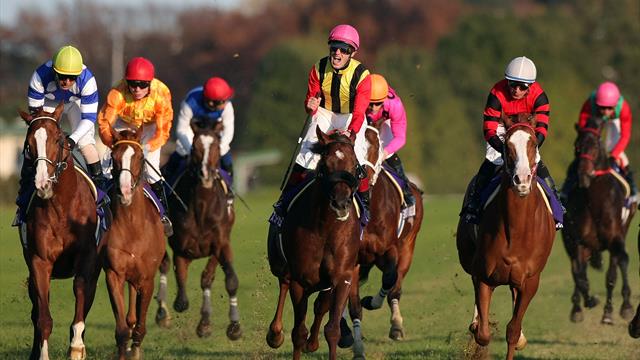 Hipódromo de Chukyo: victoria de Le Vent Se Léve en la Champions Cup