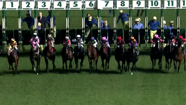 Longines Race of the Week: finale thrilling al Jockeys' Championship Longines Race of the Week: finale thrilling al Jockeys' Championship