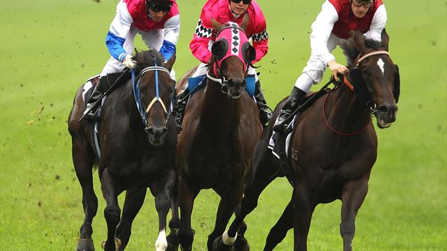 Hipódromo de Hanshin (Japón): brillante triunfo de Admire Mars en la Asahi Hai Futurity Stakes