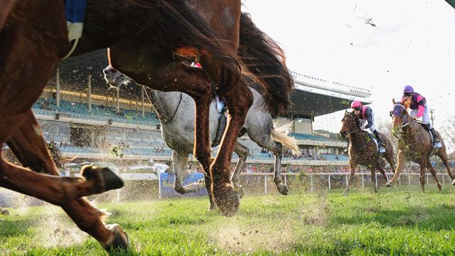 Hipódromo de Nakayama: Saturnalia gana la Hopeful Stakes
