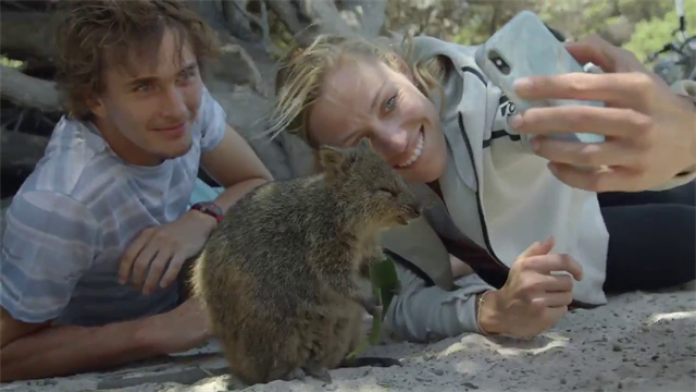 Kerber and Zverev have fun with quokkas Kerber and Zverev have fun with quokkas