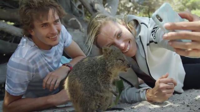 Auge in Auge mit dem Quokka: Kerber und Zverev auf Beach-Tour Auge in Auge mit dem Quokka: Kerber und Zverev auf Beach-Tour