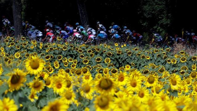 Cofidis y Wanty participarán en el Tour de Francia 2019 como invitados