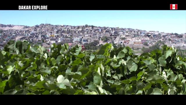 Dakar Explore: Vineyards and the world-famous Pisco Dakar Explore: Vineyards and the world-famous Pisco