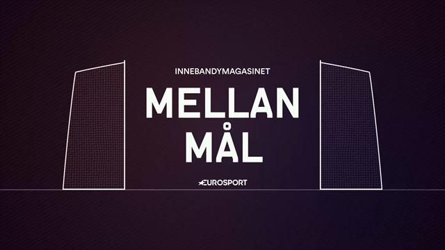 Mellan Mål: Debatt om svensk innebandys framtid Mellan Mål: Debatt om svensk innebandys framtid