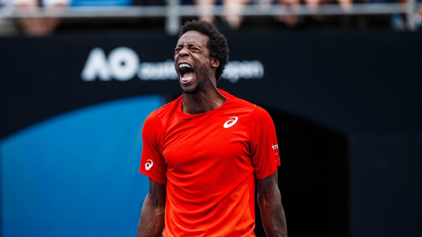 Monfils Goffin Monfils Goffin