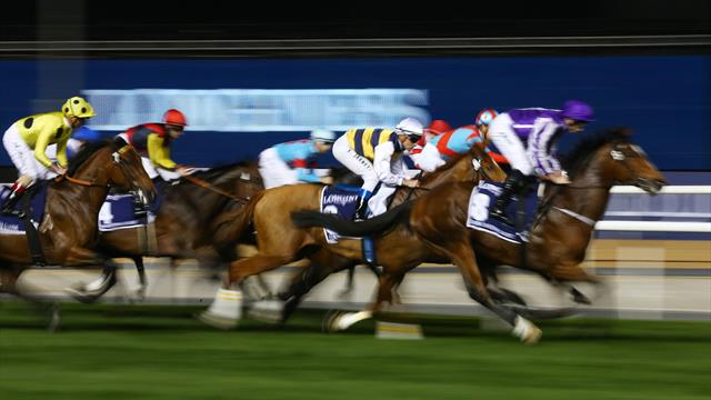 Watson feiert drei Siege in Meydan
