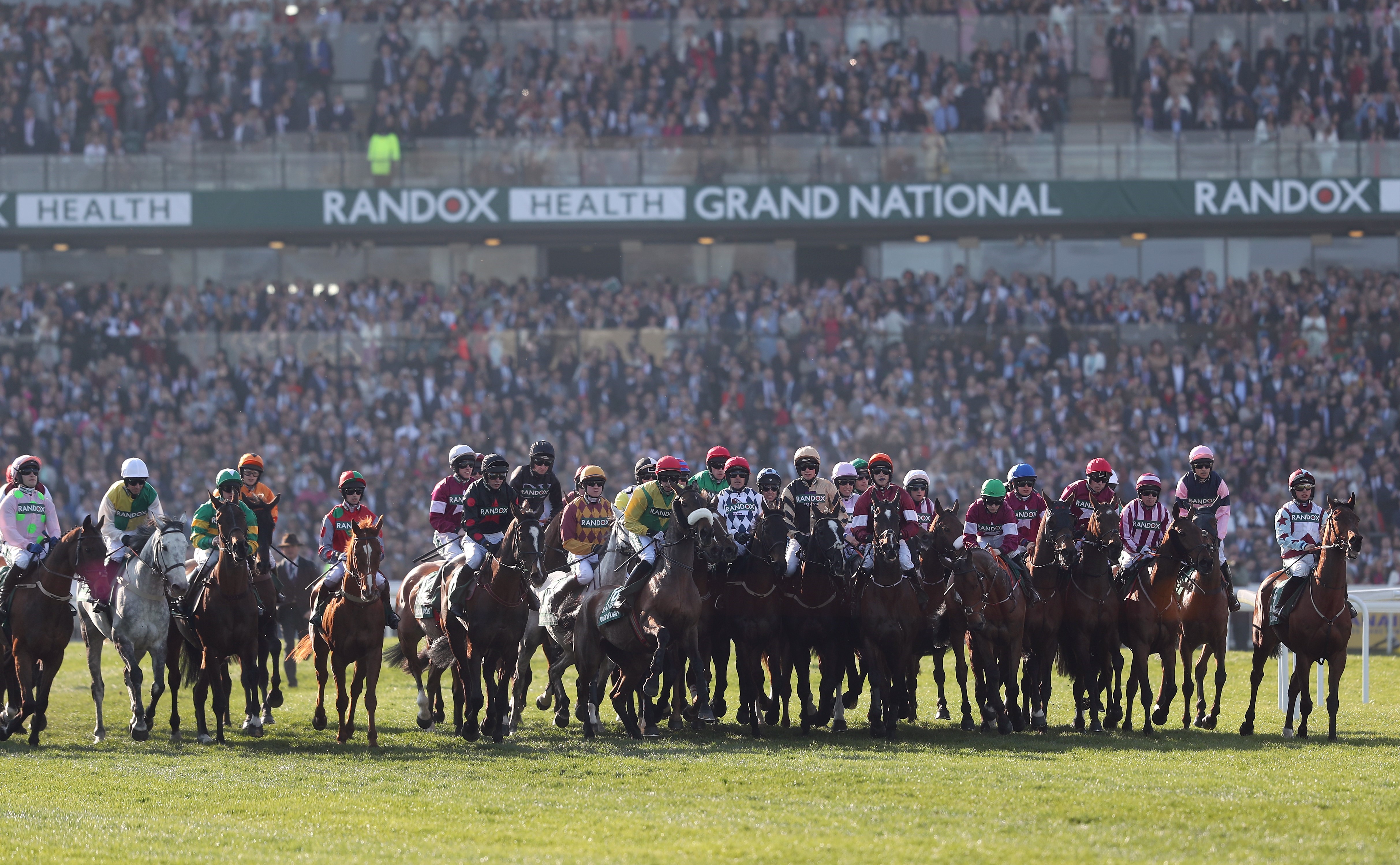 Grand National 2019’da atlar start almayı bekliyor (Bu görsel The Jockey Club'ın izniyle kullanılmıştır)