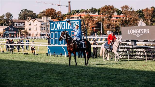 Winx sort par la très grande porte