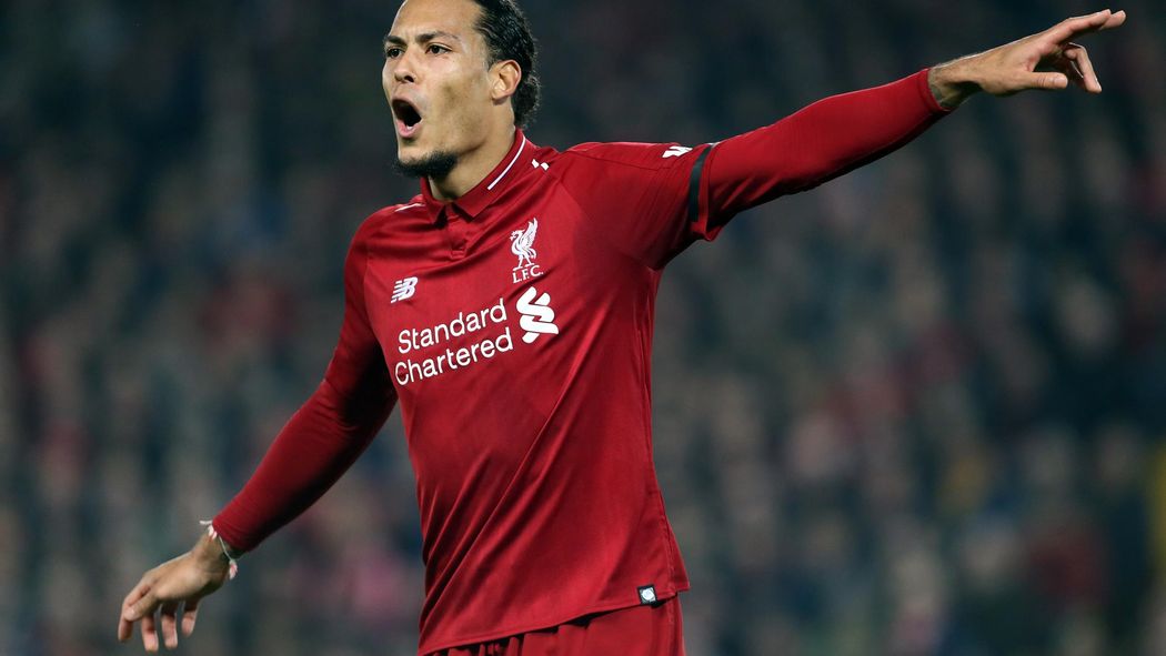 Image result for van dijk