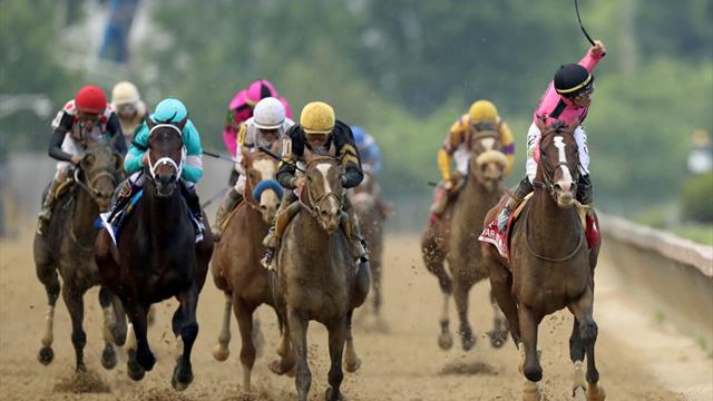 Уор оф Уилл ярко выступил на Preakness Stakes