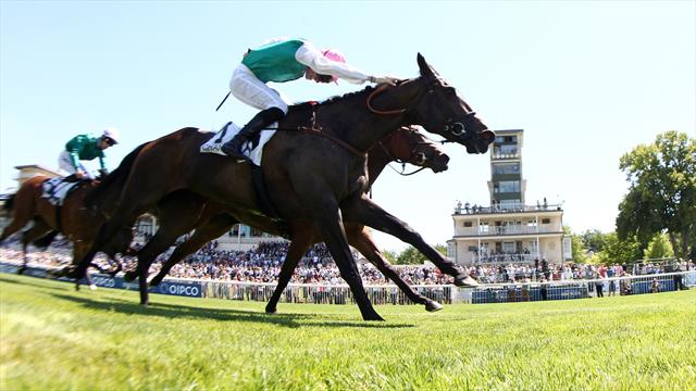 À Chantilly, Aspetar surprend et Pellegrina s’affirme