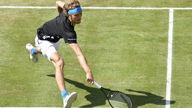 Zverev: Liebeserklärung an Halle