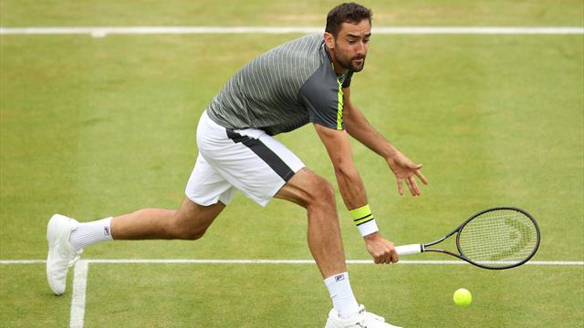 Cilic tombe de haut