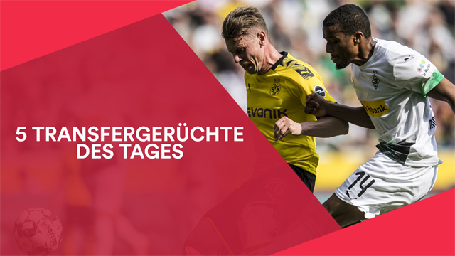 BVB baggert an Ex-Favre-Schüler Pléa BVB baggert an Ex-Favre-Schüler Pléa
