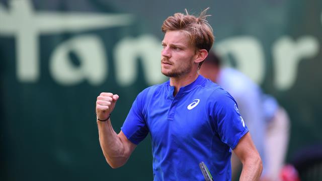 Plus solide, Goffin a mis fin au parcours de Berrettini