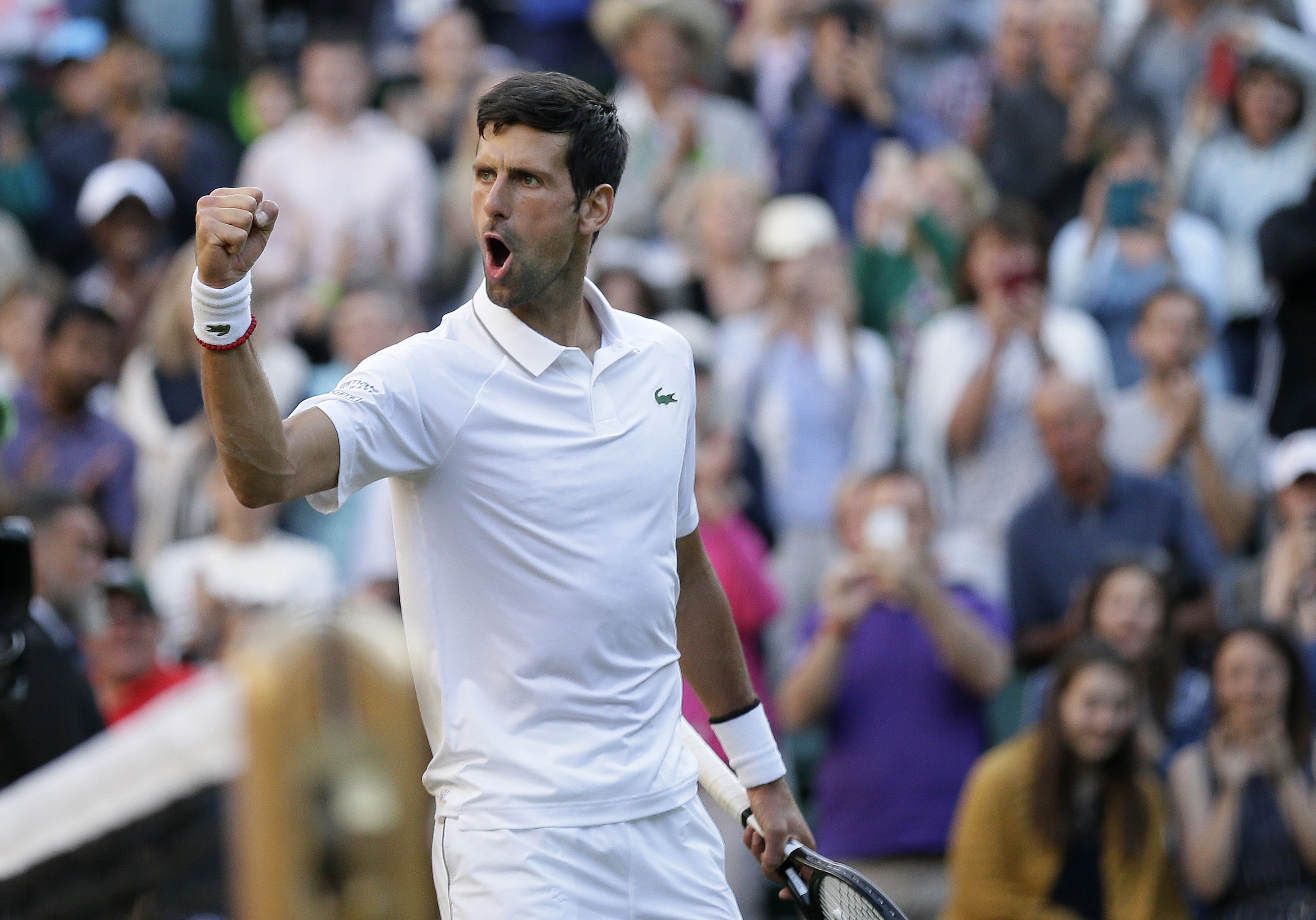 Novak Djokovic (2019 Wimbledon)