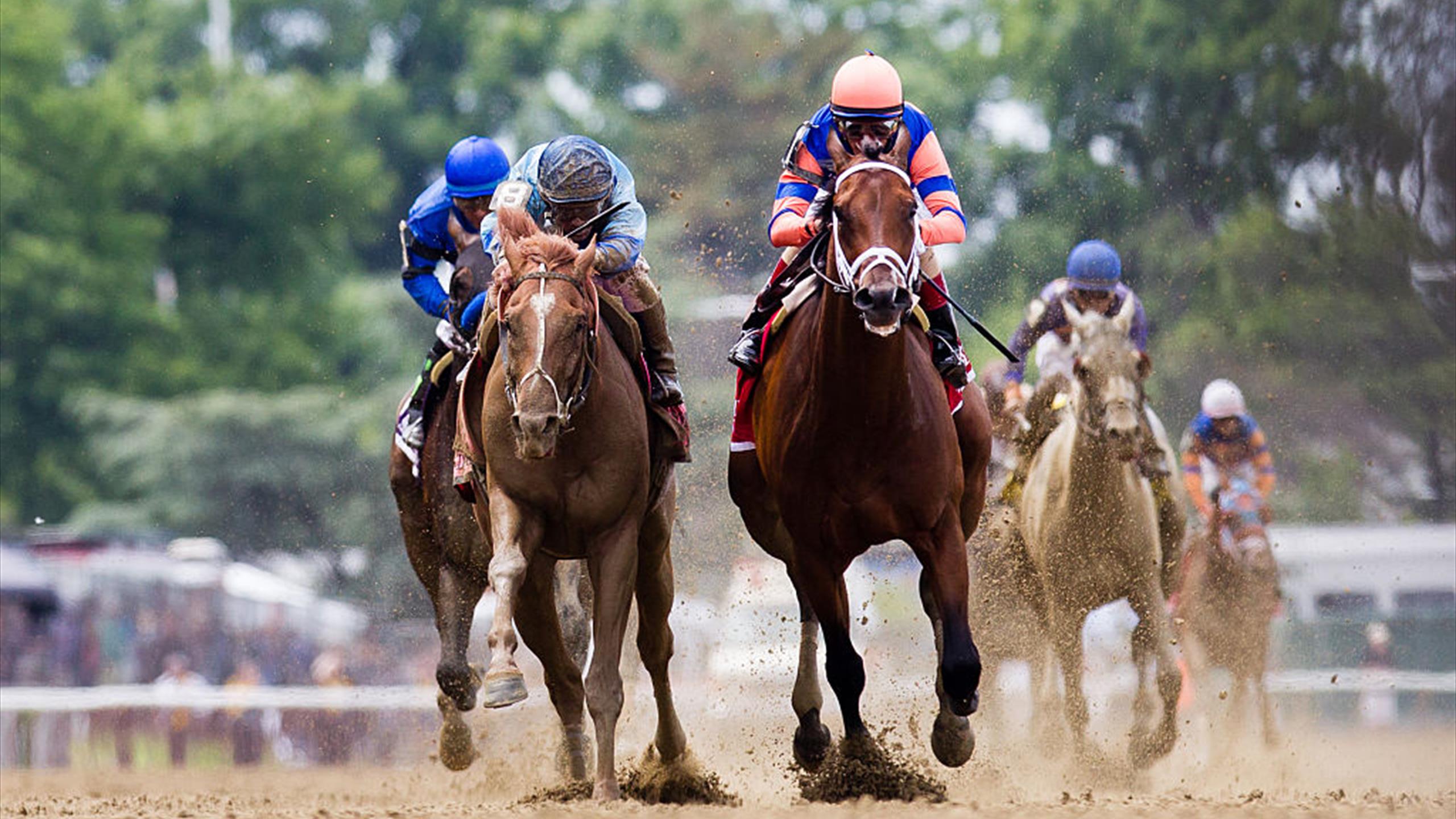 Carreras de caballos victoria de Henley’s Joy en el Belmont Derby