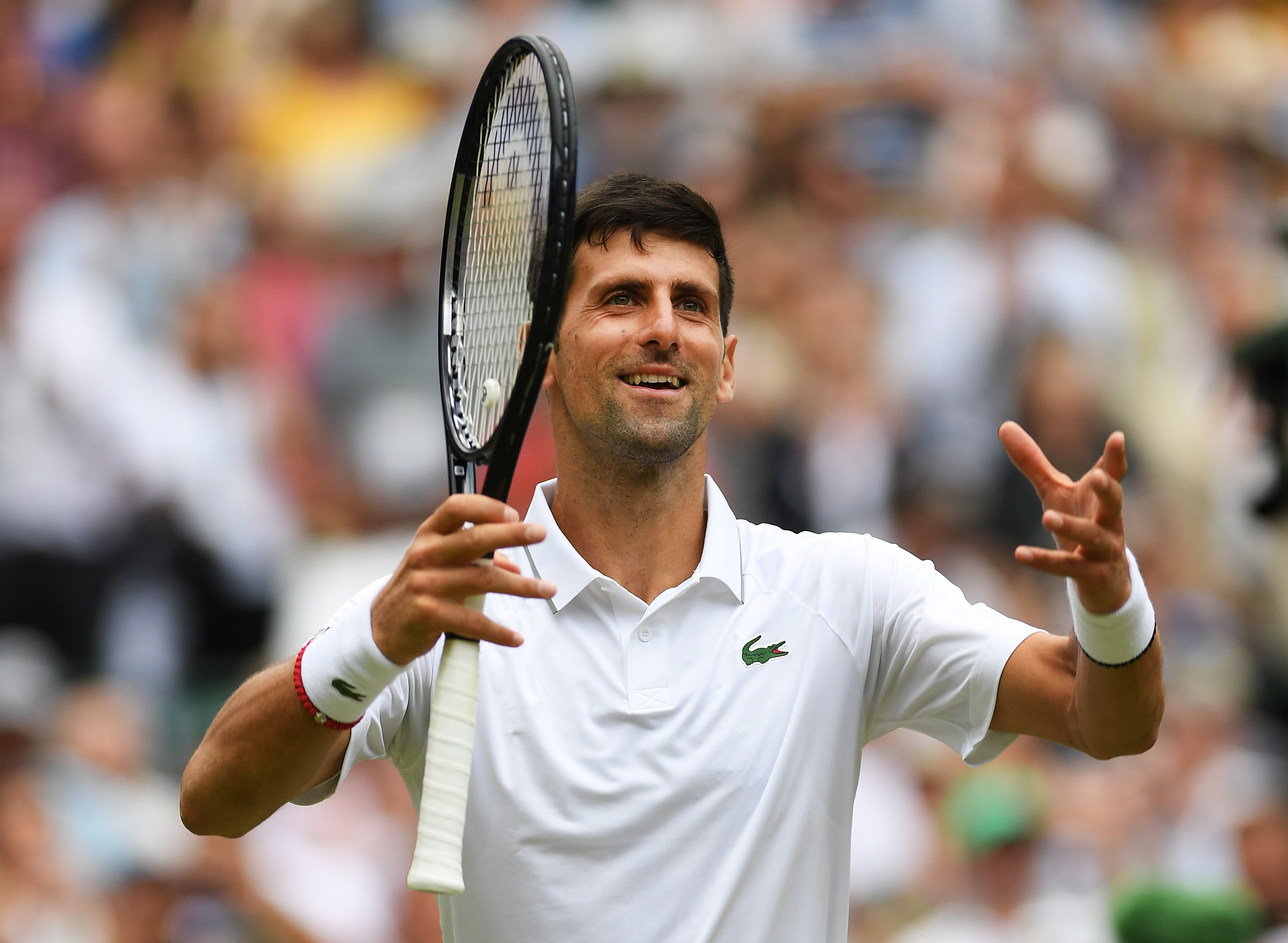 Novak Djokovic (2019 Wimbledon)