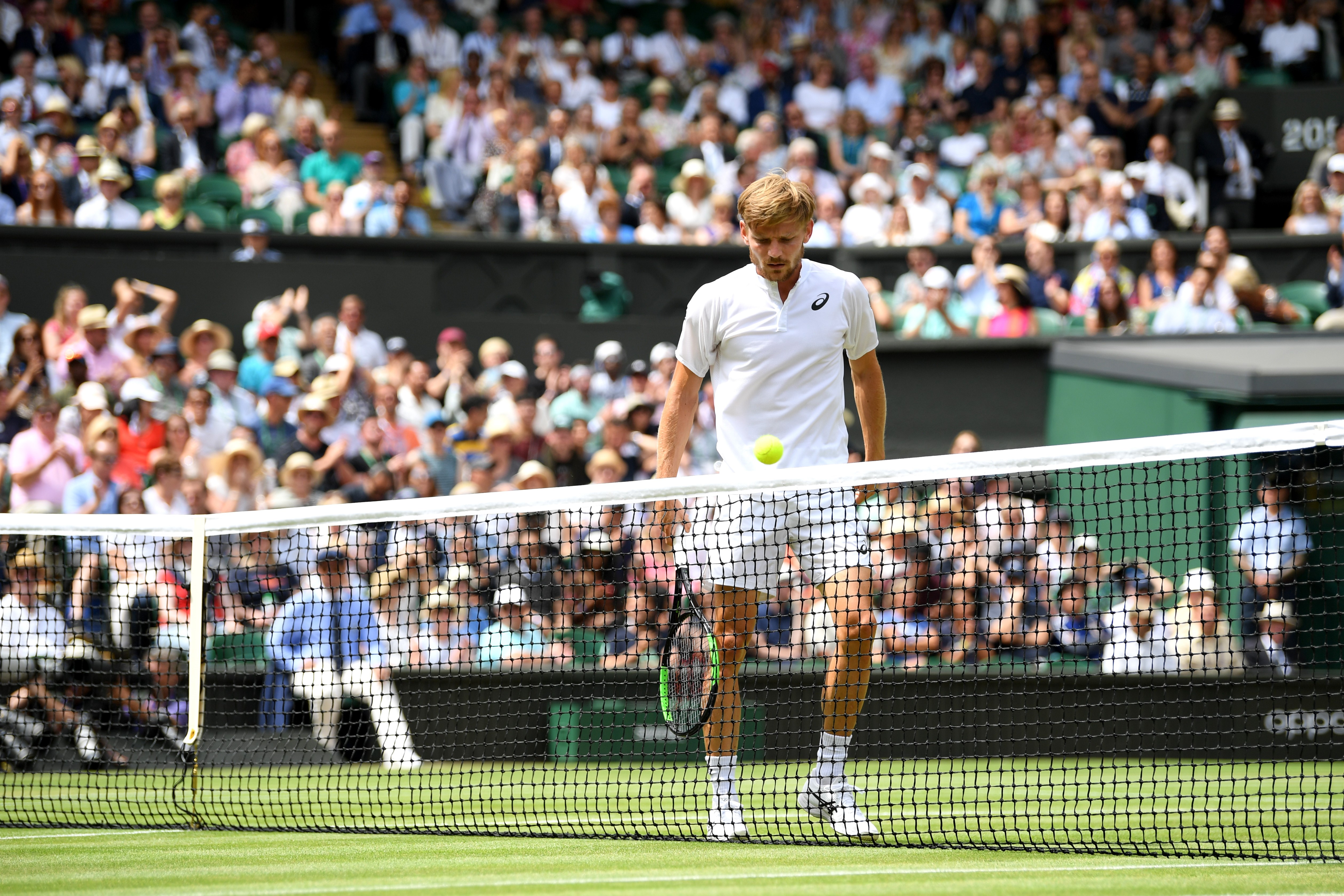 David Goffin lors de son quart de finale face à Novak Djokovic / Wimbledon 2019