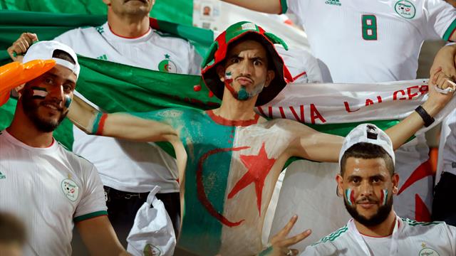 "One, two, three, viva l'Algérie" : Mais d'où vient le chant iconique des Fennecs ?