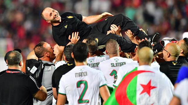 Belmadi, le nouveau héros algérien