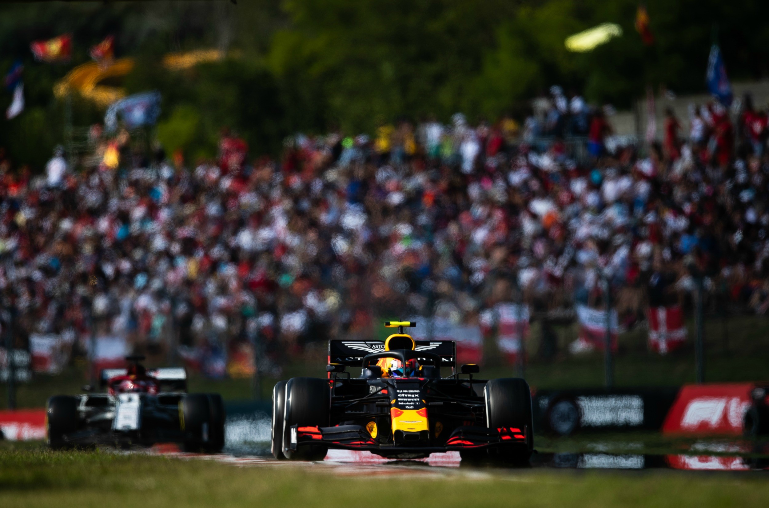 Pierre Gasly (Red Bull) au Grand Prix de Hongrie 2019