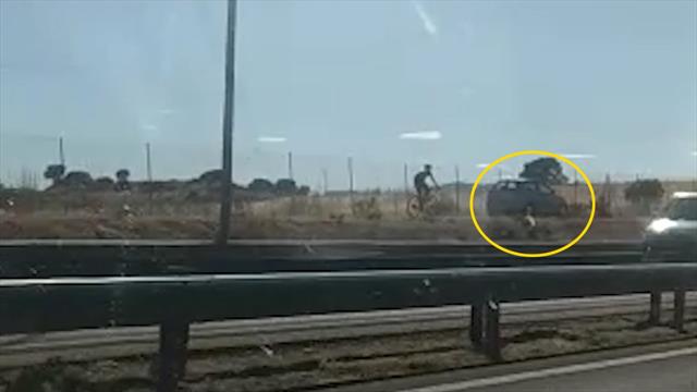 😱🚴 VIDEO: ¡Espeluznante! Un kamikaze invade el carril-bici de Madrid