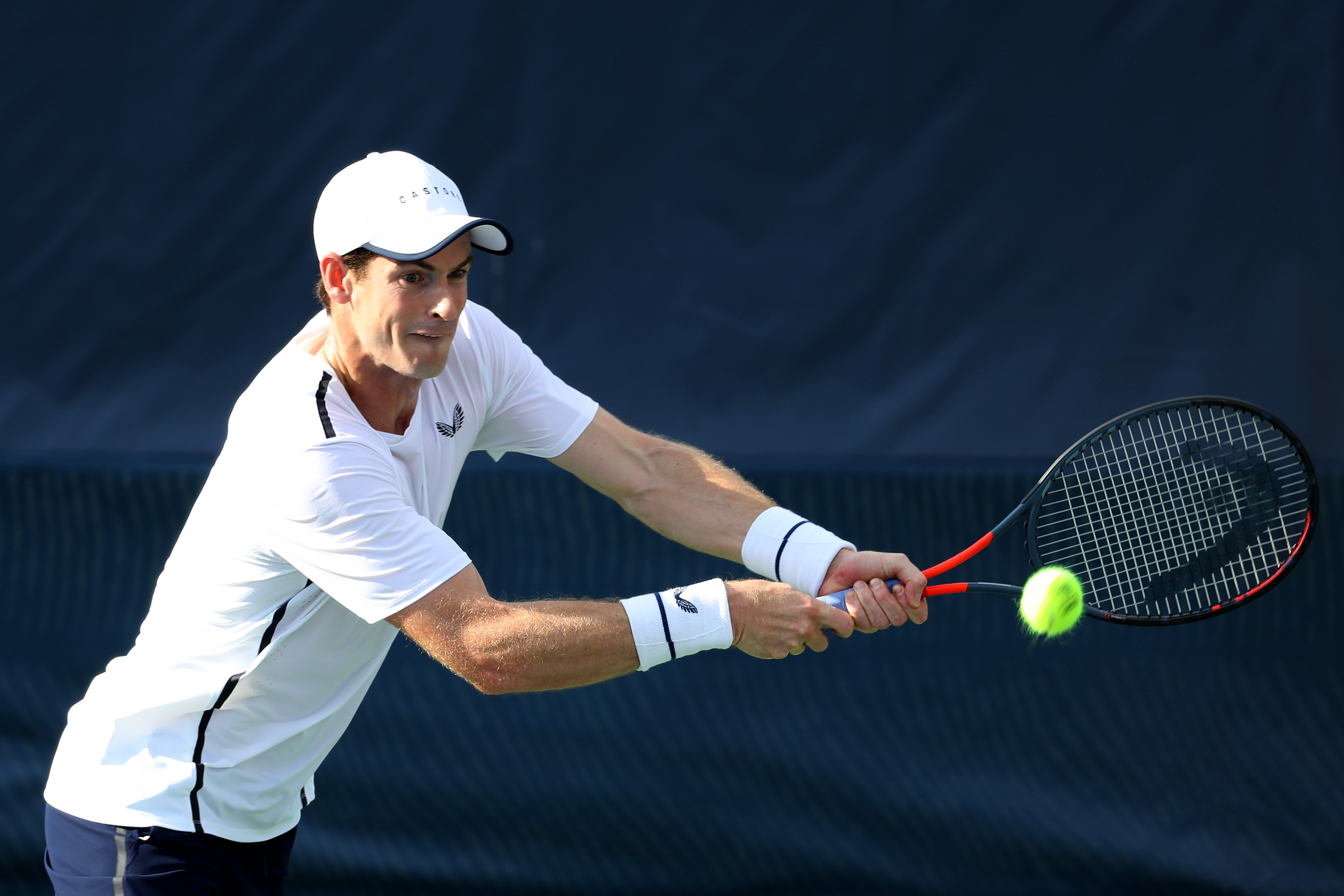 Andy Murray à Washington en 2019