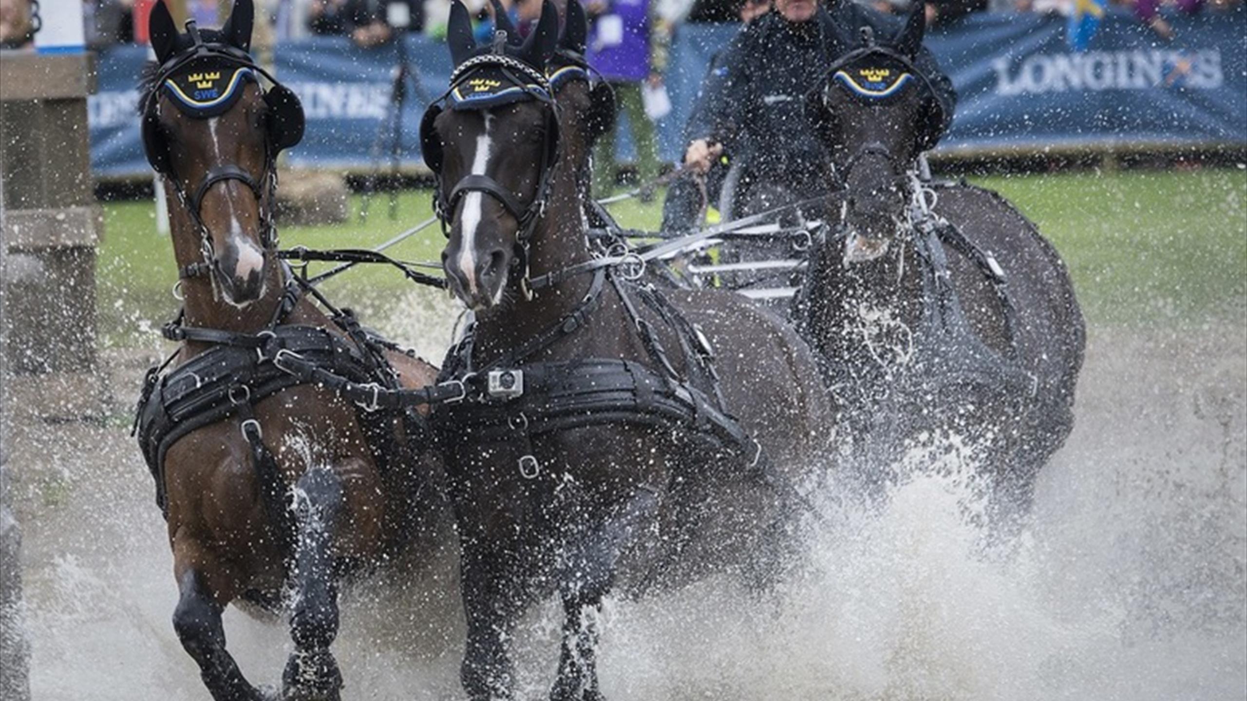 Spiele Heute Europameisterschaft Spiele Heute Europameisterschaft