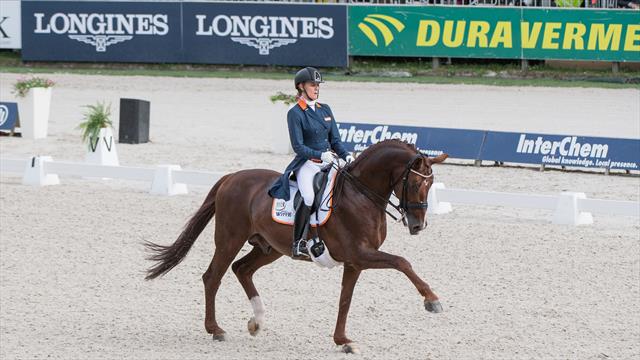 European Championships: dressage riders open the competition in Rotterdam