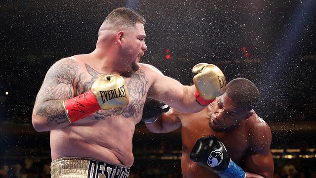 Ruiz spuckt vor Rückkampf große Töne: "Werde Joshuas Karriere beenden"
