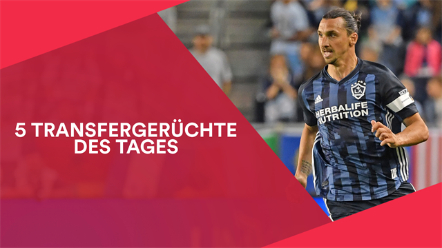 Ibrahimovic spricht über Rückkehr nach Europa Ibrahimovic spricht über Rückkehr nach Europa