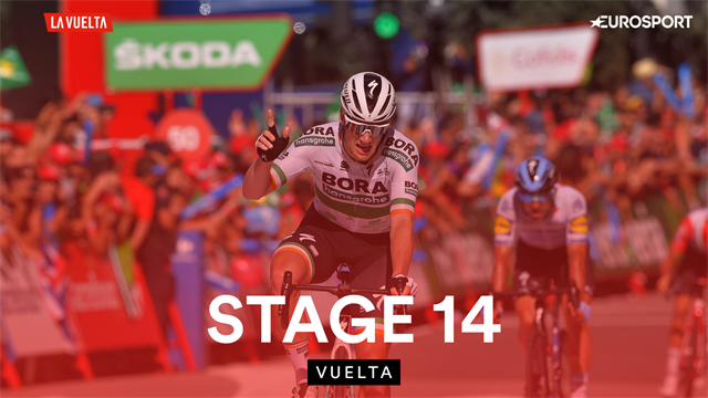 Highlights of Stage 14 as big crash disrupts rare Vuelta 'sprint' day Highlights of Stage 14 as big crash disrupts rare Vuelta 'sprint' day